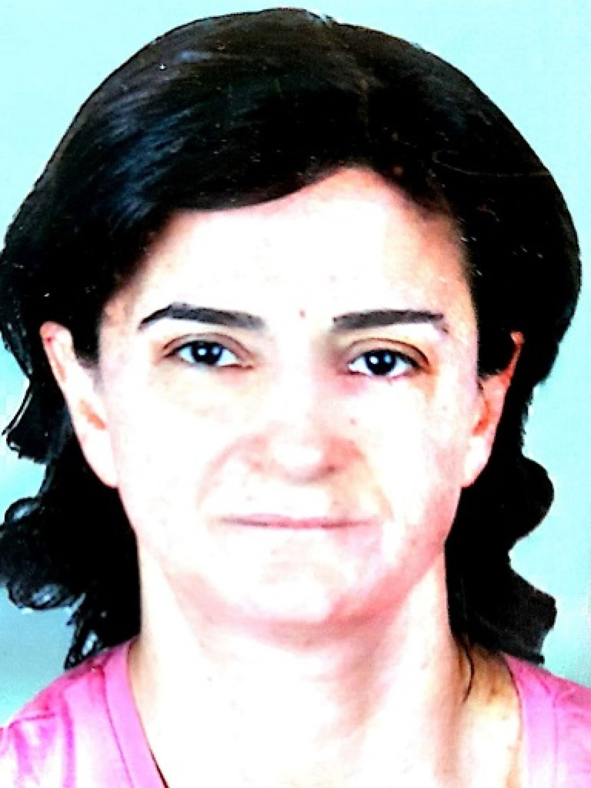 Diaa  El Halabi