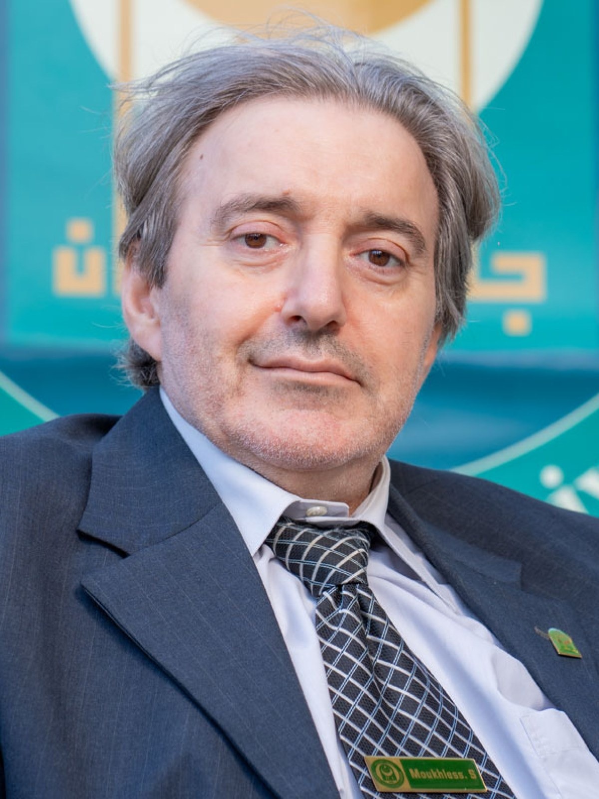 Moukhless  Sari