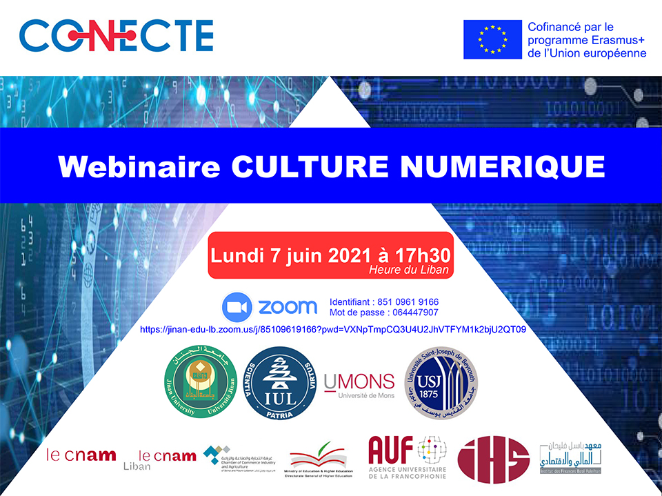 Invitation-Webinaire Culture numerique-7 juin-1