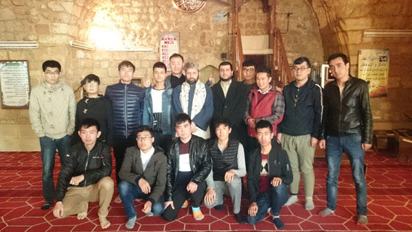 alc08