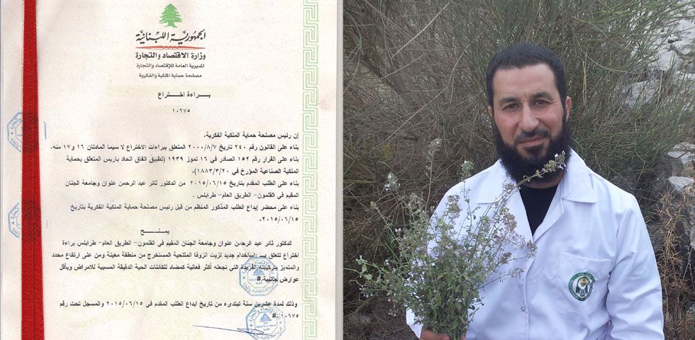 زيت الزوفا الملتحية... مضاد حيوي للأمراض...